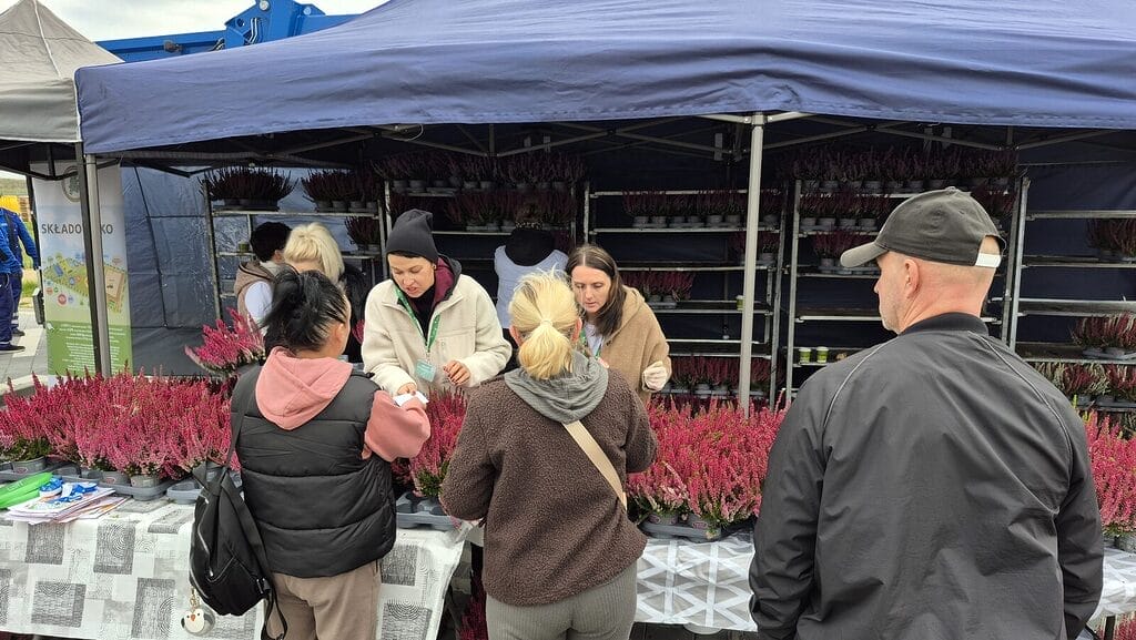 Butelki I Słoiki Trafiły Do Recyklingu. Wielka Zbiórka Szkła W Ostródzie!