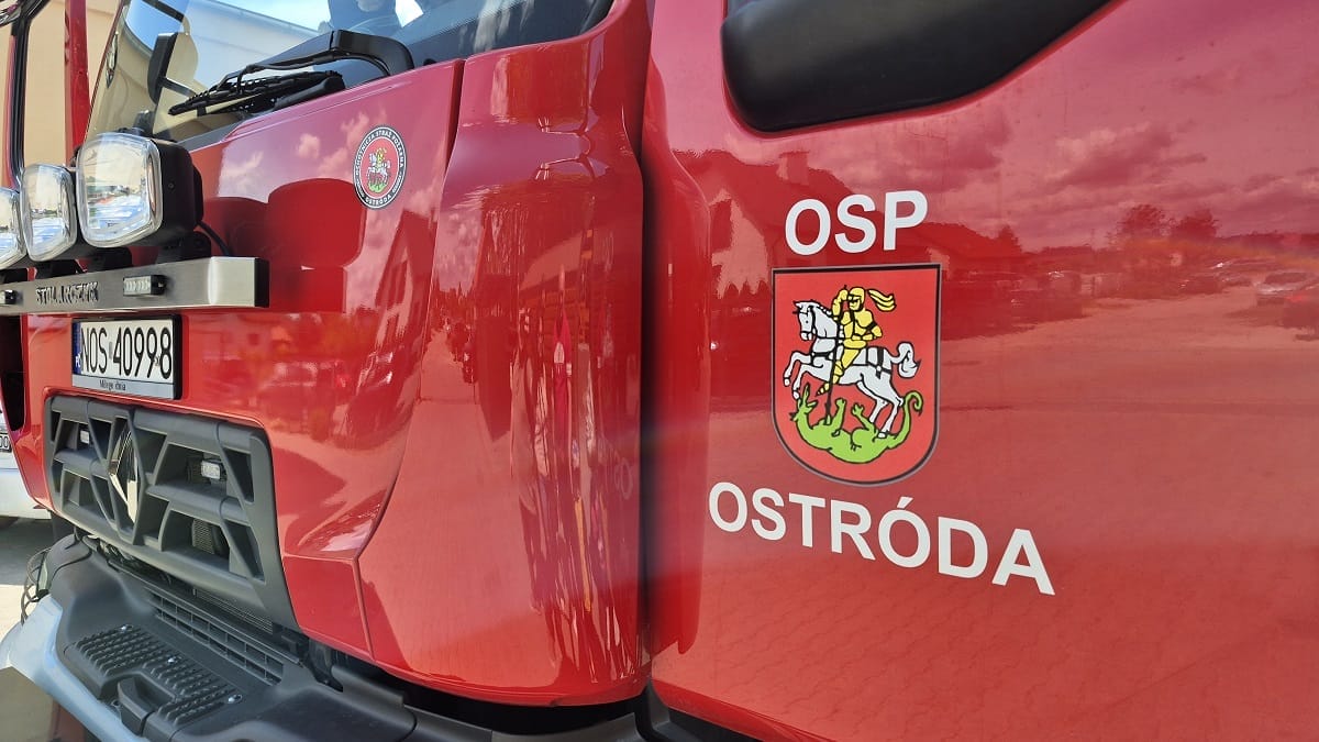 Interwencja strażaków w Wałdowie. Łania nie przeżyła skoku przez płot 13 Interwencja strażaków w Wałdowie. Łania nie przeżyła skoku przez płot