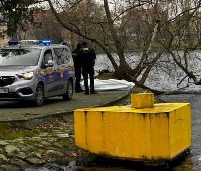 ciało mężczyzny w ujściu Drwęcy