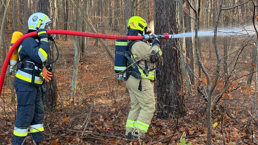 Osp Cwiczenia Koncentracja 21 11 2025 5