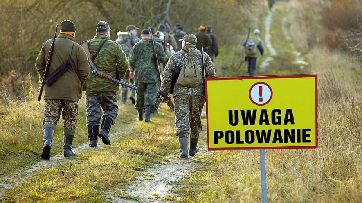 Uwaga Polowanie, Myśliwi Wchodzą Do Lasów W Powiecie Ostródzkim!