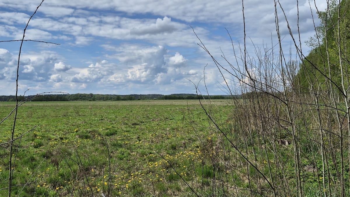Nieruchomości Do Kupienia W Powiecie Ostródzkim. Kowr Podał Listę Przetargową!