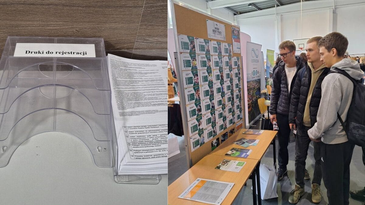 Powiat Ostródzki: Nowe Oferty Pracy (01.12-08.12)